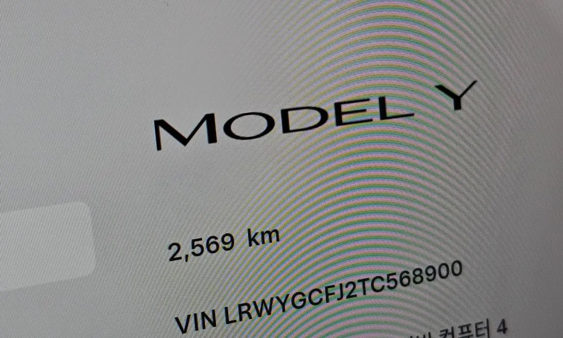 Tesla Model Y 2026 из KR, фото 6