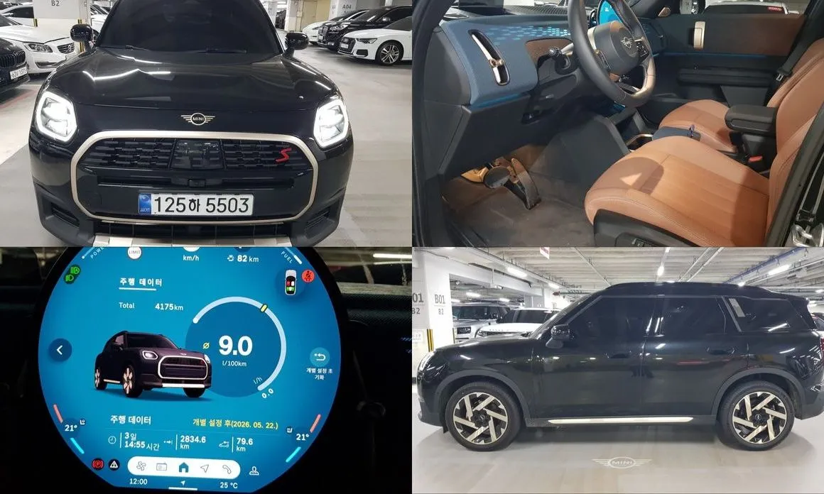 Mini Countryman