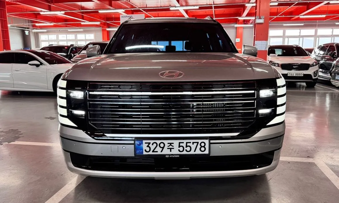 Hyundai Palisade — фото 10