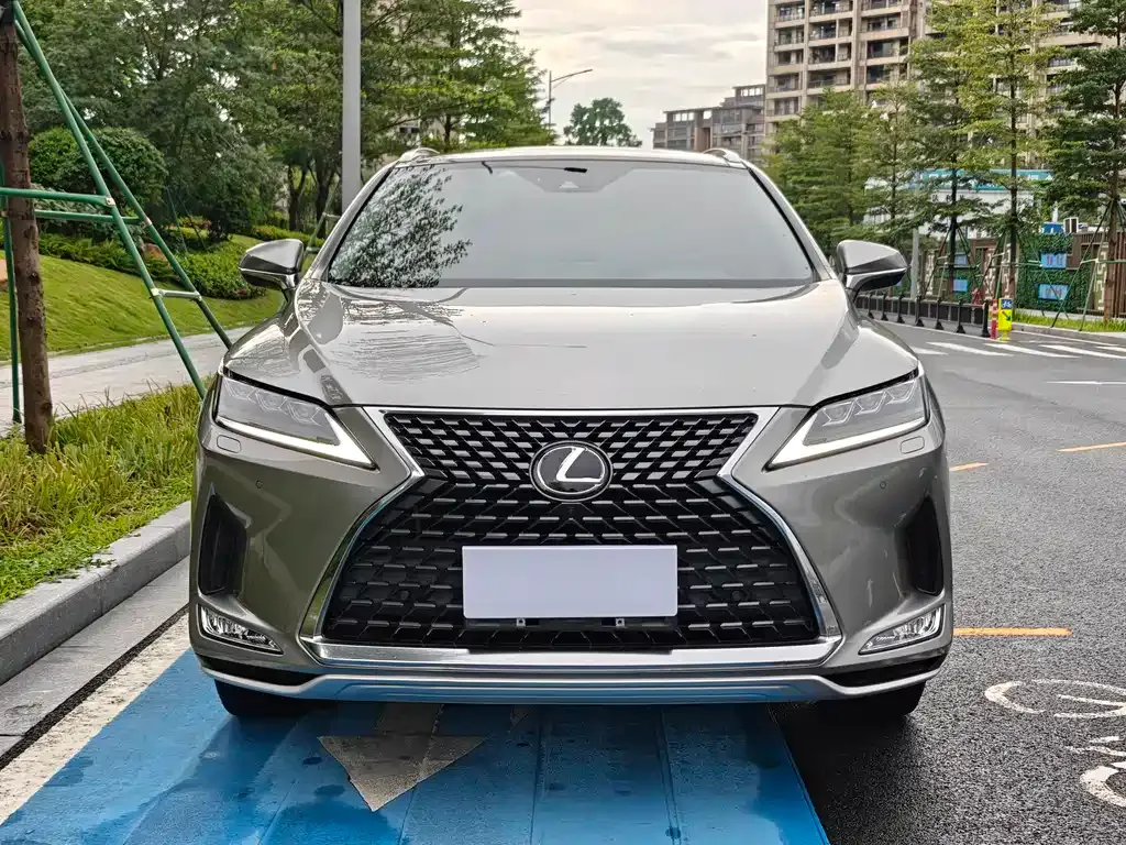 Lexus RX — фото 8