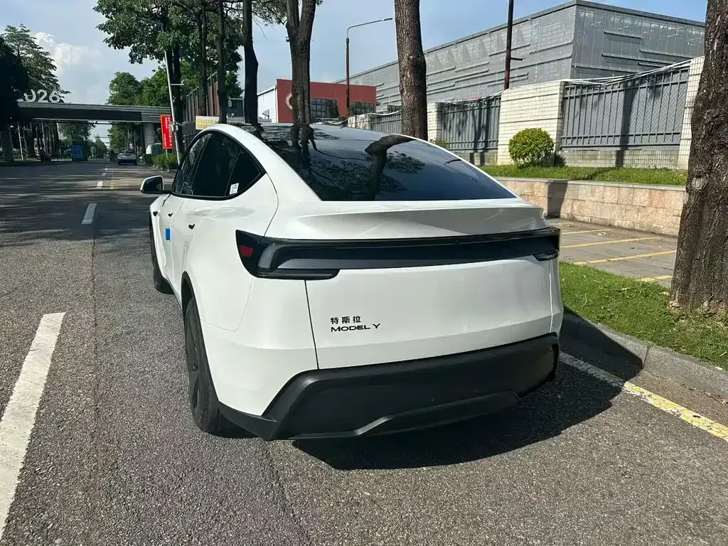 Tesla Model Y — фото 8