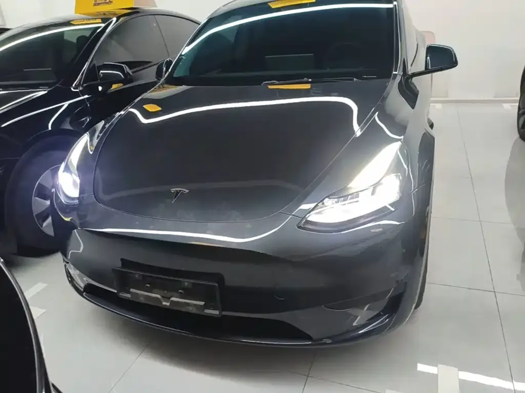 Tesla Model Y — фото 2