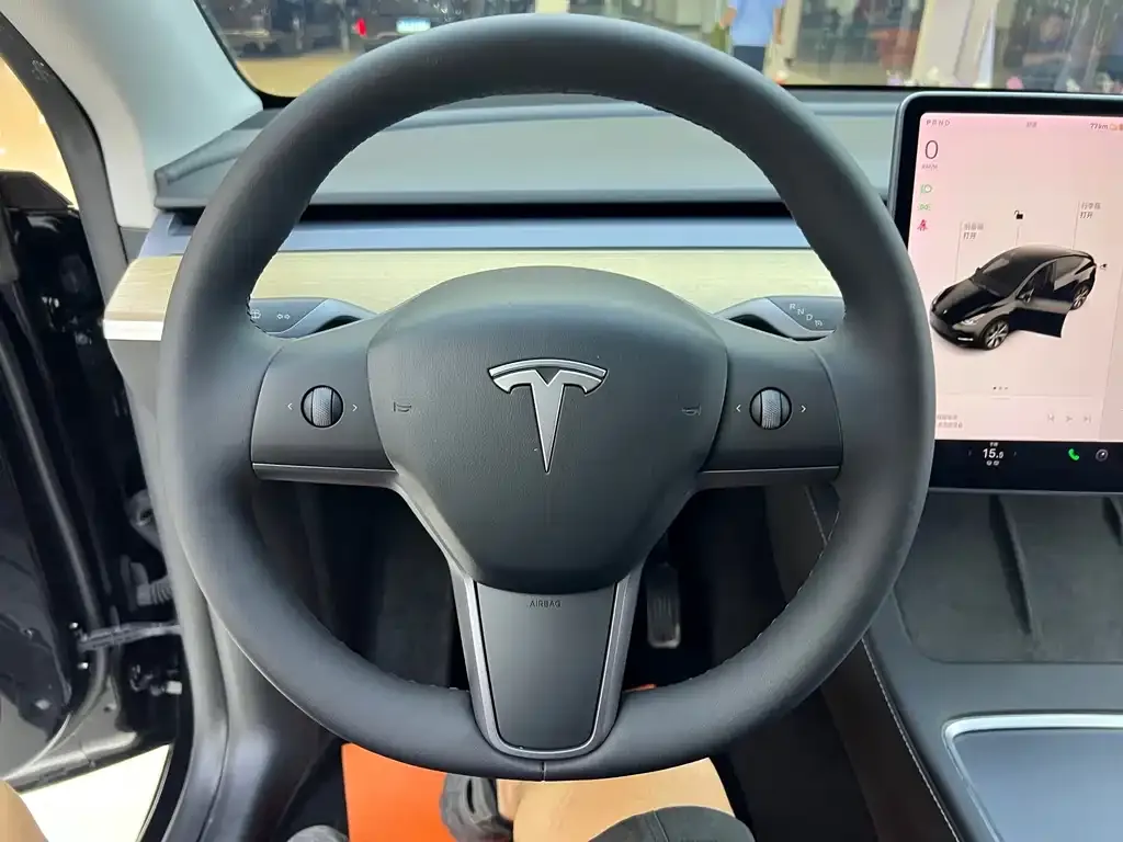 Tesla Model Y — фото 10