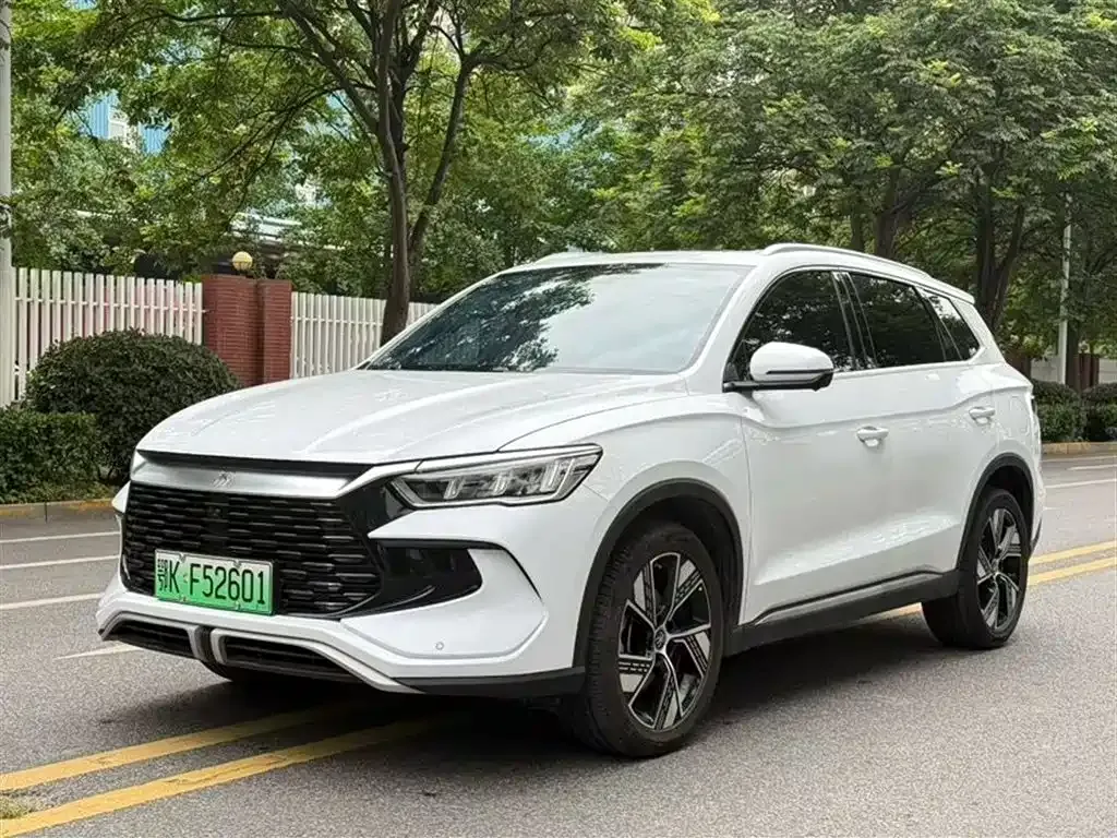 BYD Pro New Energy — фото 1