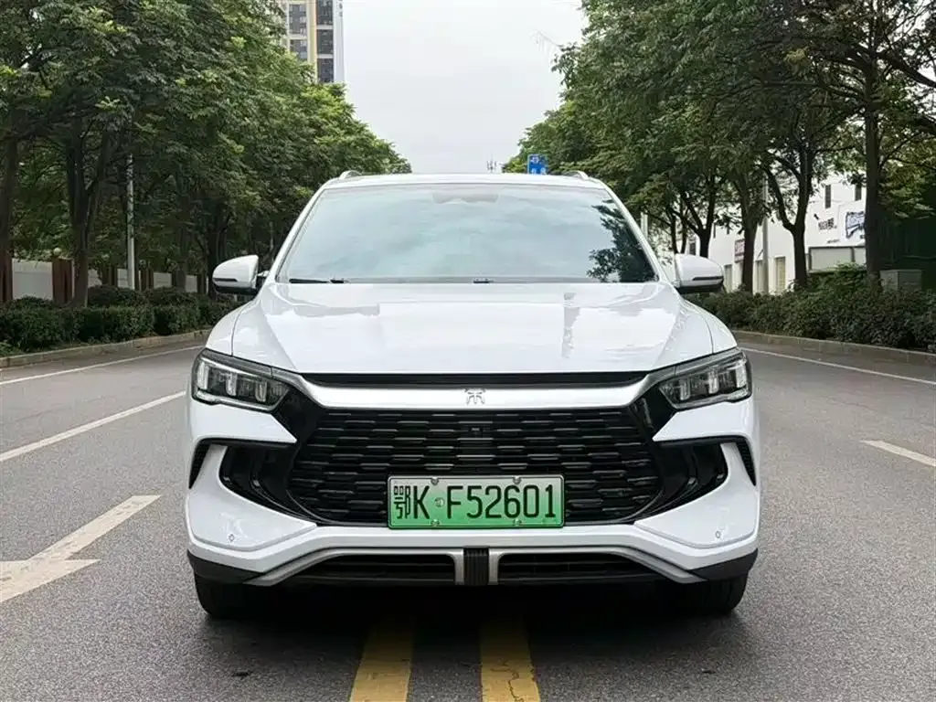BYD Pro New Energy — фото 5