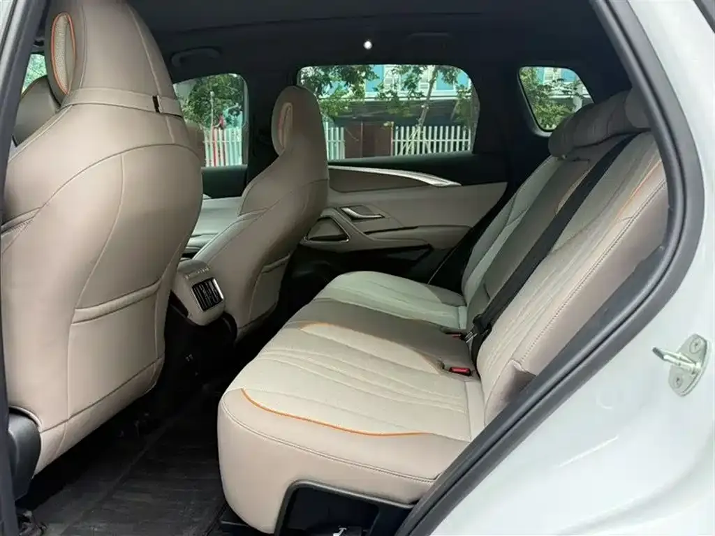 BYD Pro New Energy — фото 3