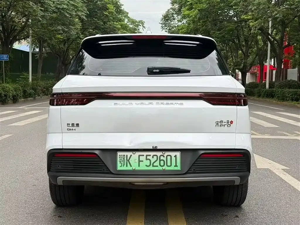 BYD Pro New Energy — фото 4