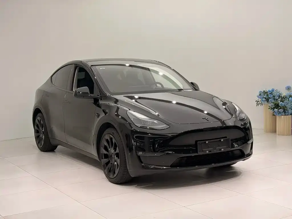 Tesla Model Y — фото 5