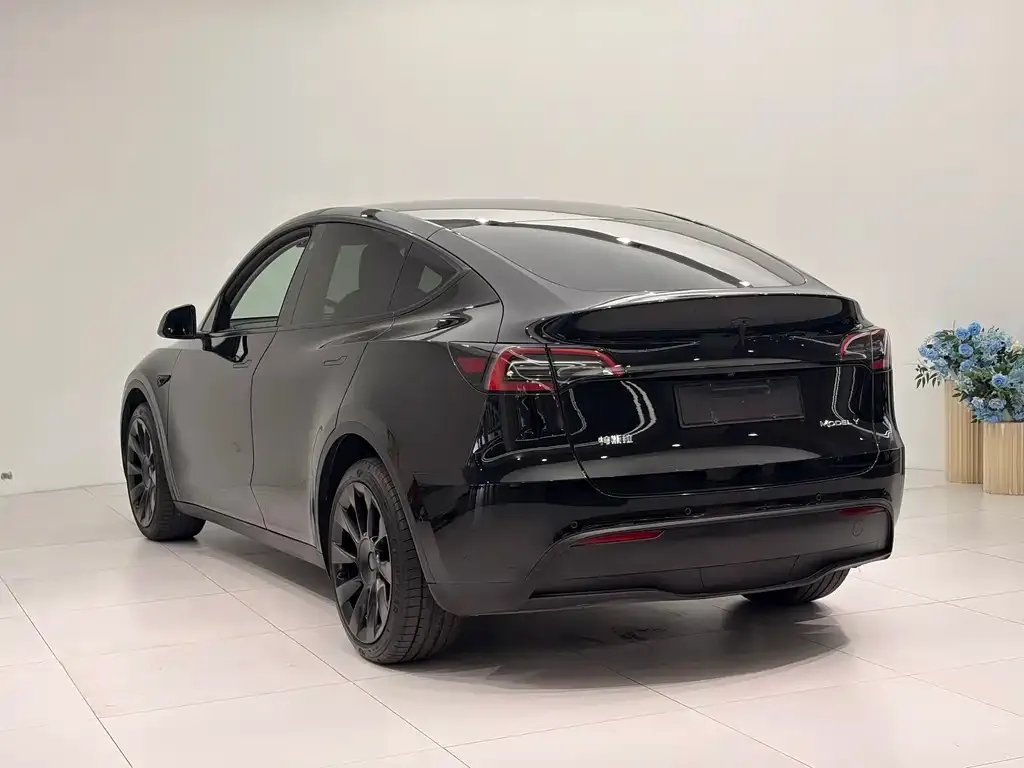 Tesla Model Y — фото 8