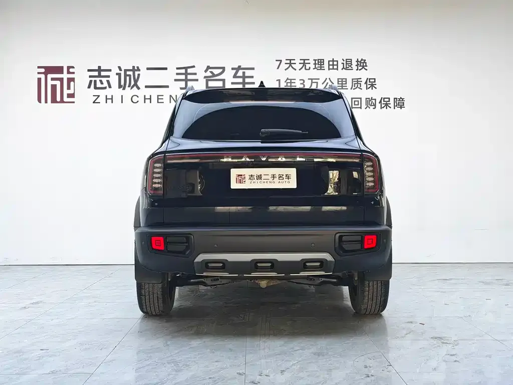Haval Big Dog 2024 из CN, фото 6