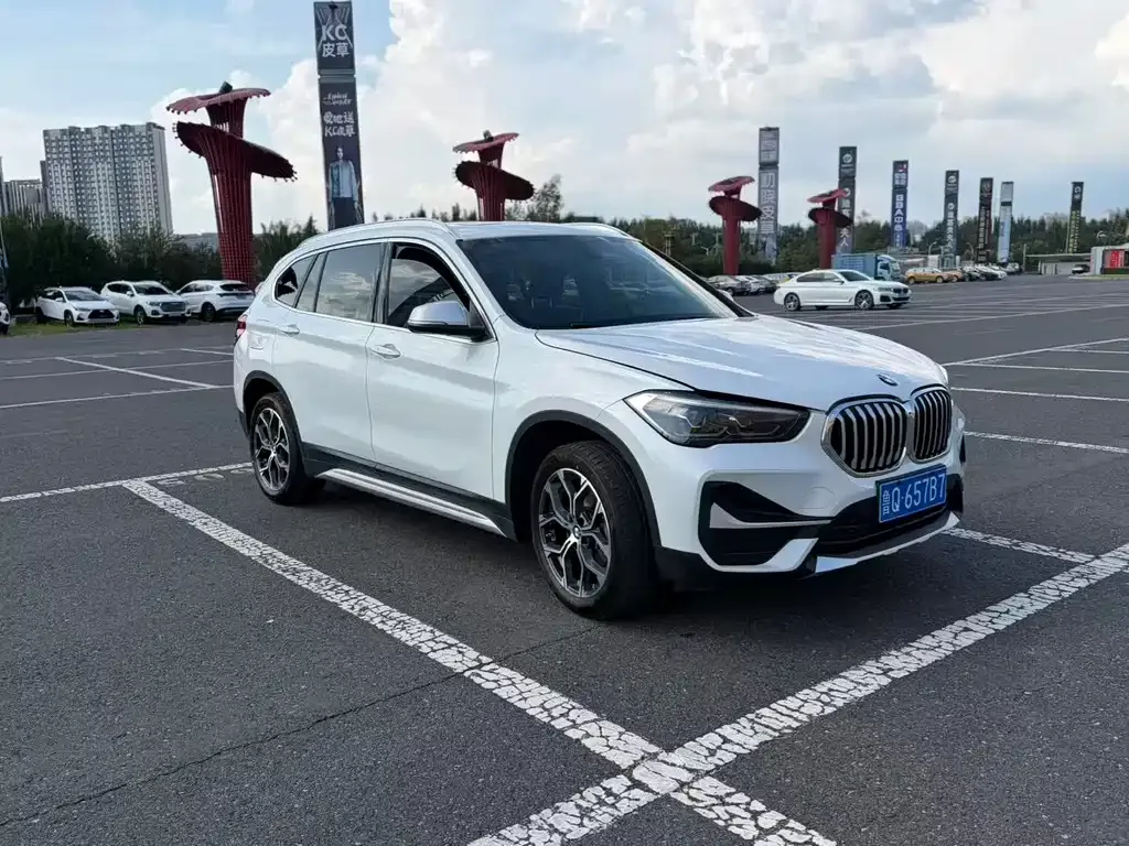 BMW X1 — фото 10