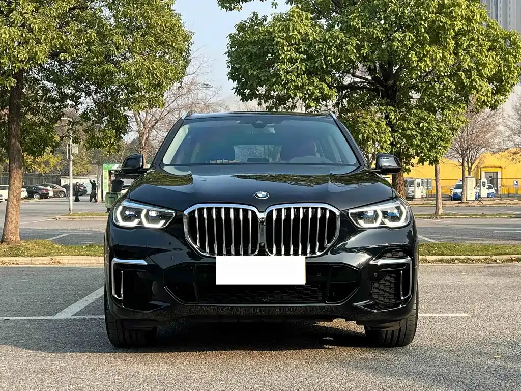 BMW X5 — фото 10