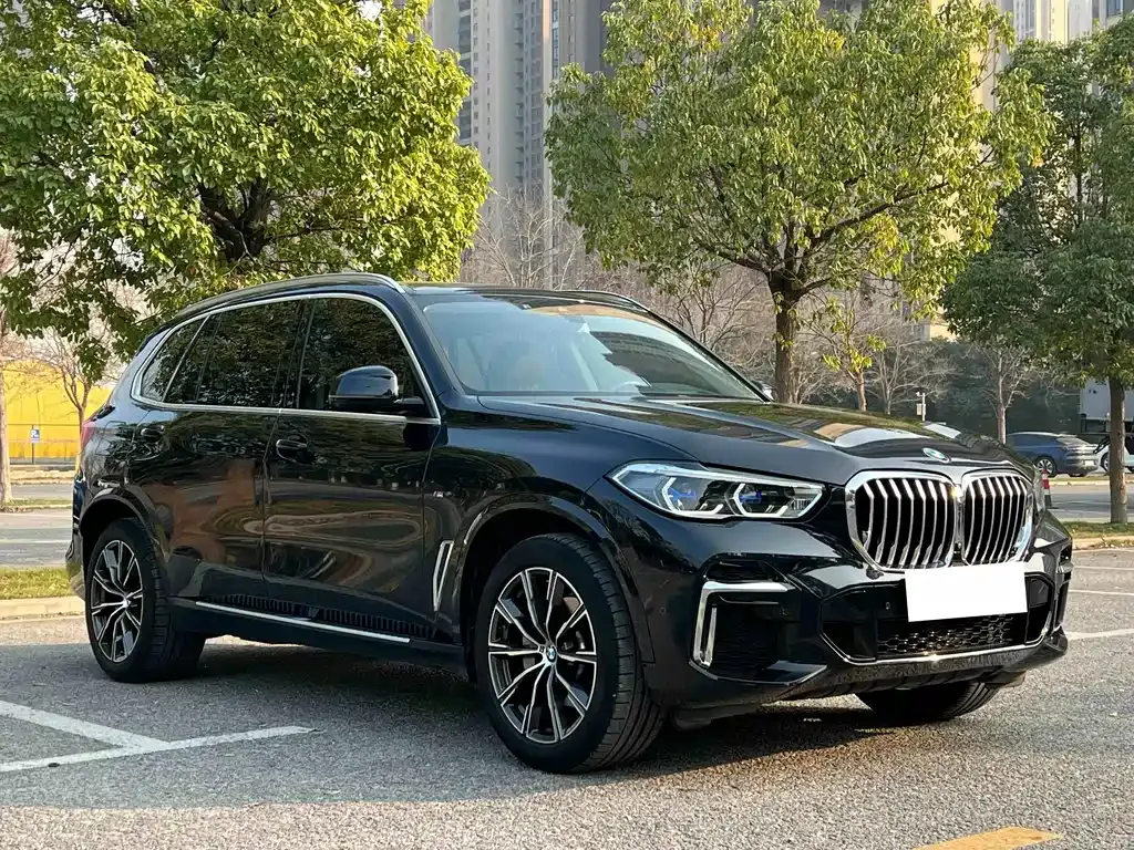 BMW X5 — фото 9