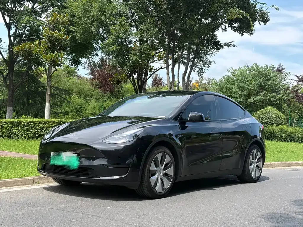 Tesla Model Y — фото 1