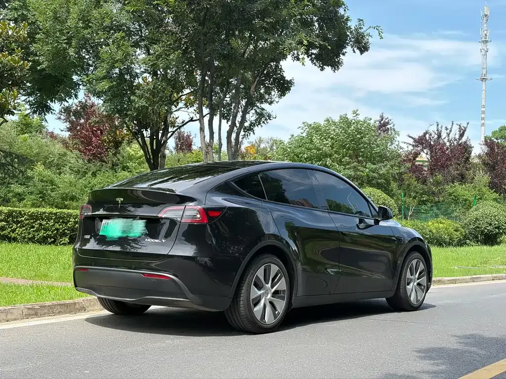 Tesla Model Y — фото 8