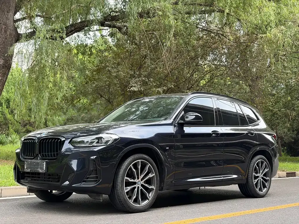 BMW X3 — фото 1
