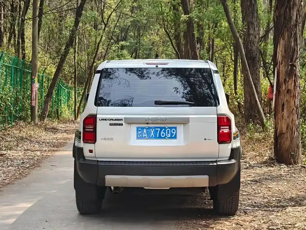 Toyota Prado 2024 из CN, фото 10