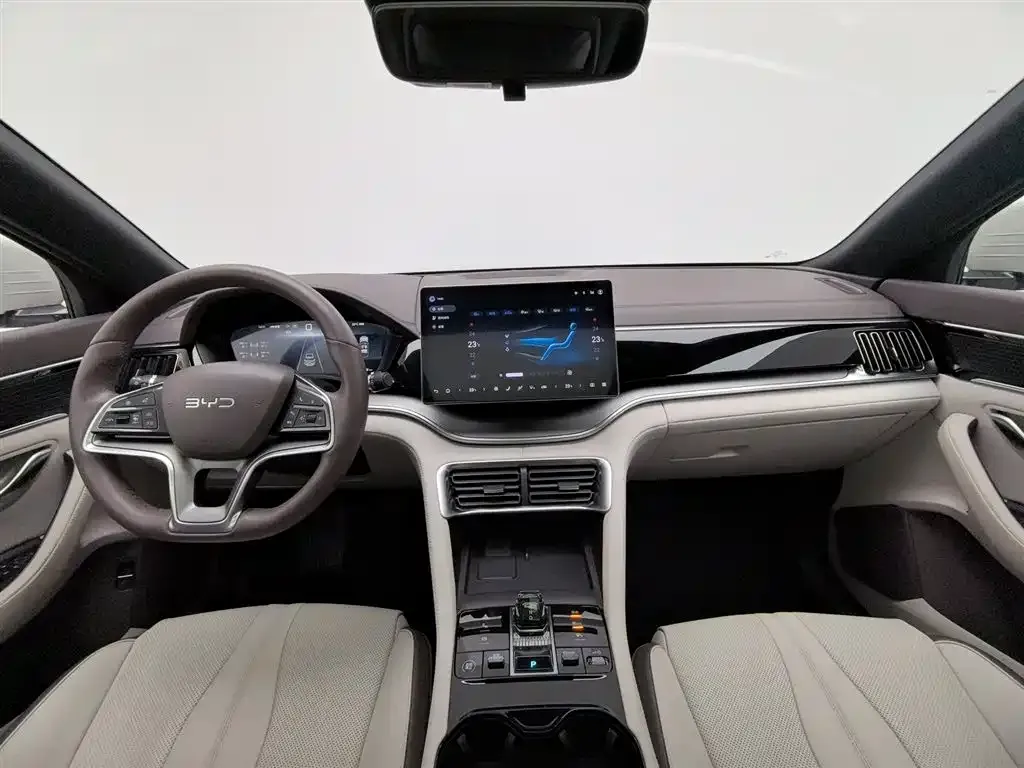 BYD PLUS New Energy — фото 6