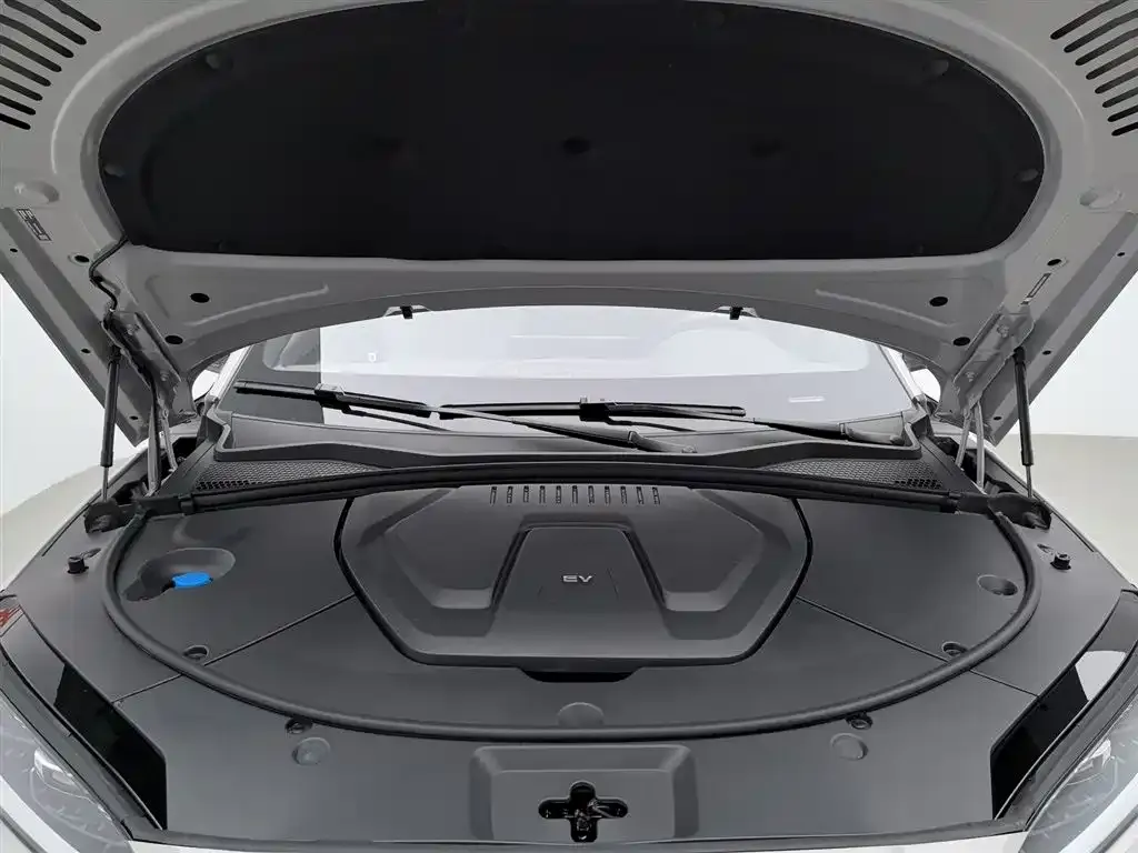 BYD PLUS New Energy — фото 10