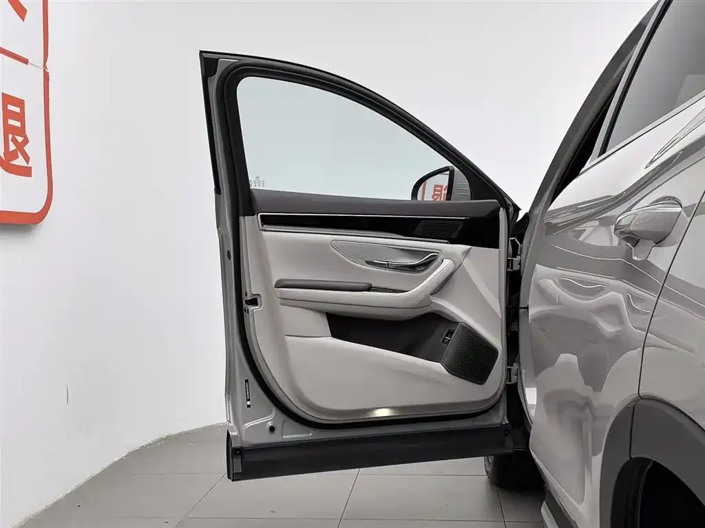 BYD PLUS New Energy — фото 3
