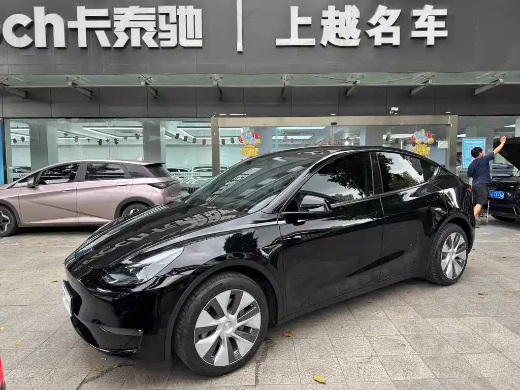 Tesla Model Y — фото 1