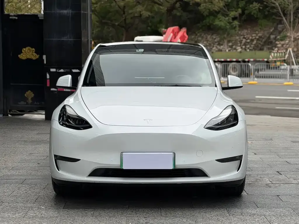 Tesla Model Y — фото 8