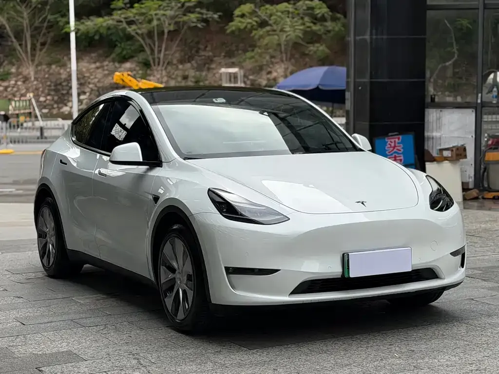 Tesla Model Y — фото 5