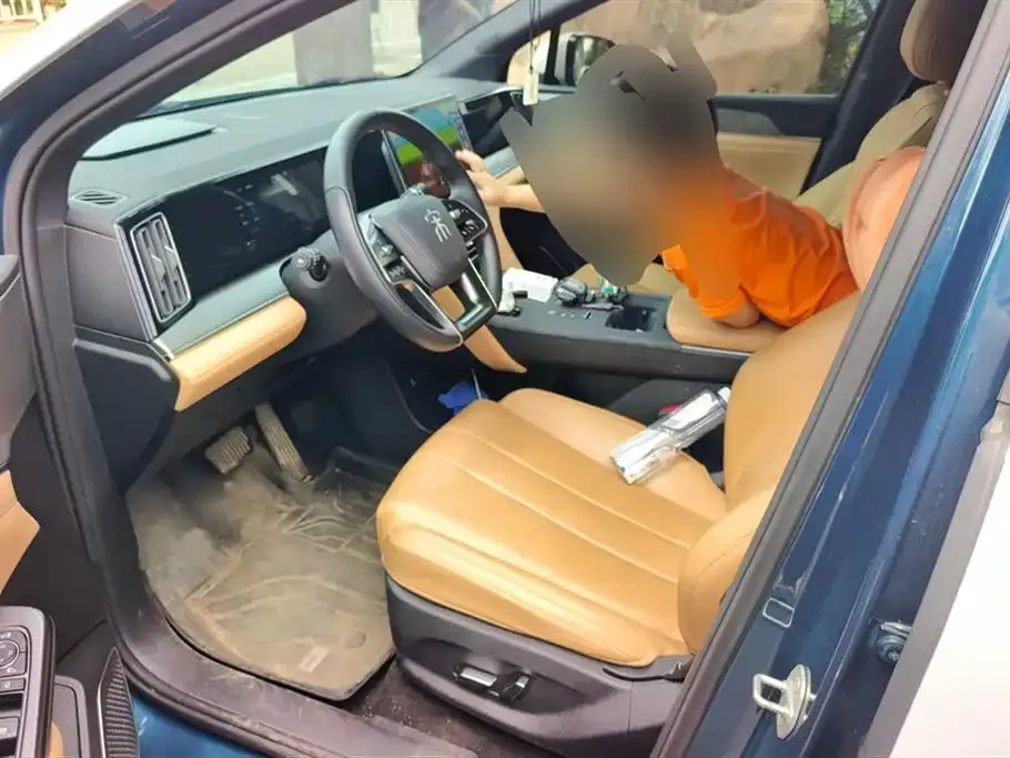 BYD L DM-i — фото 9