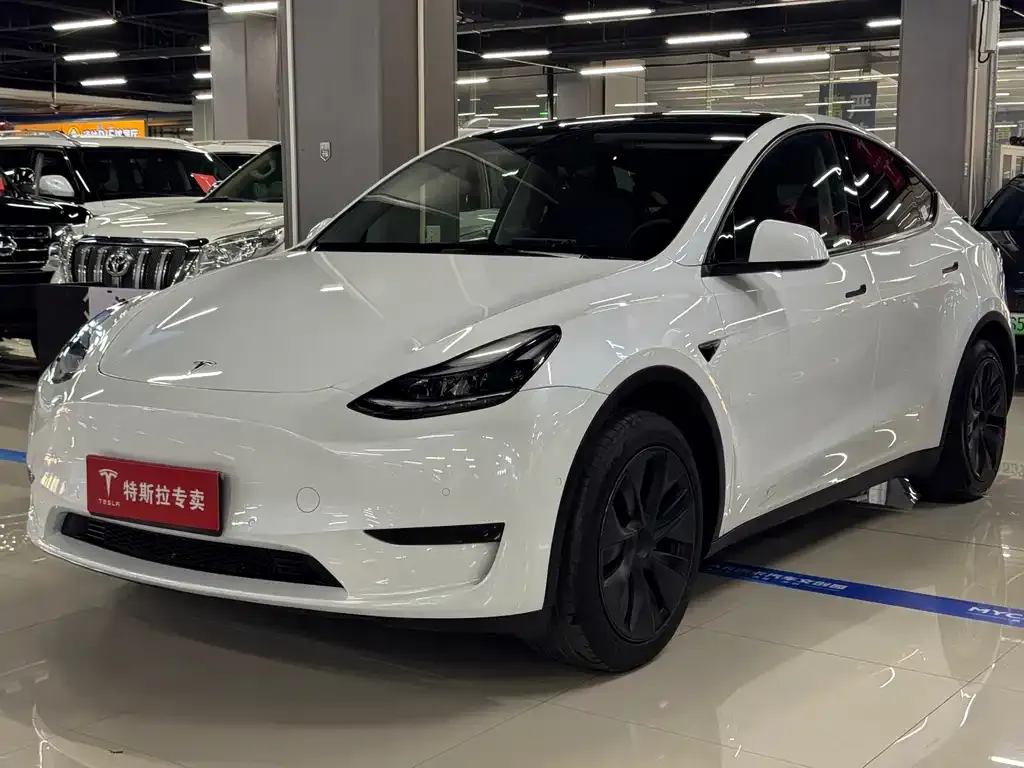 Tesla Model Y — фото 1