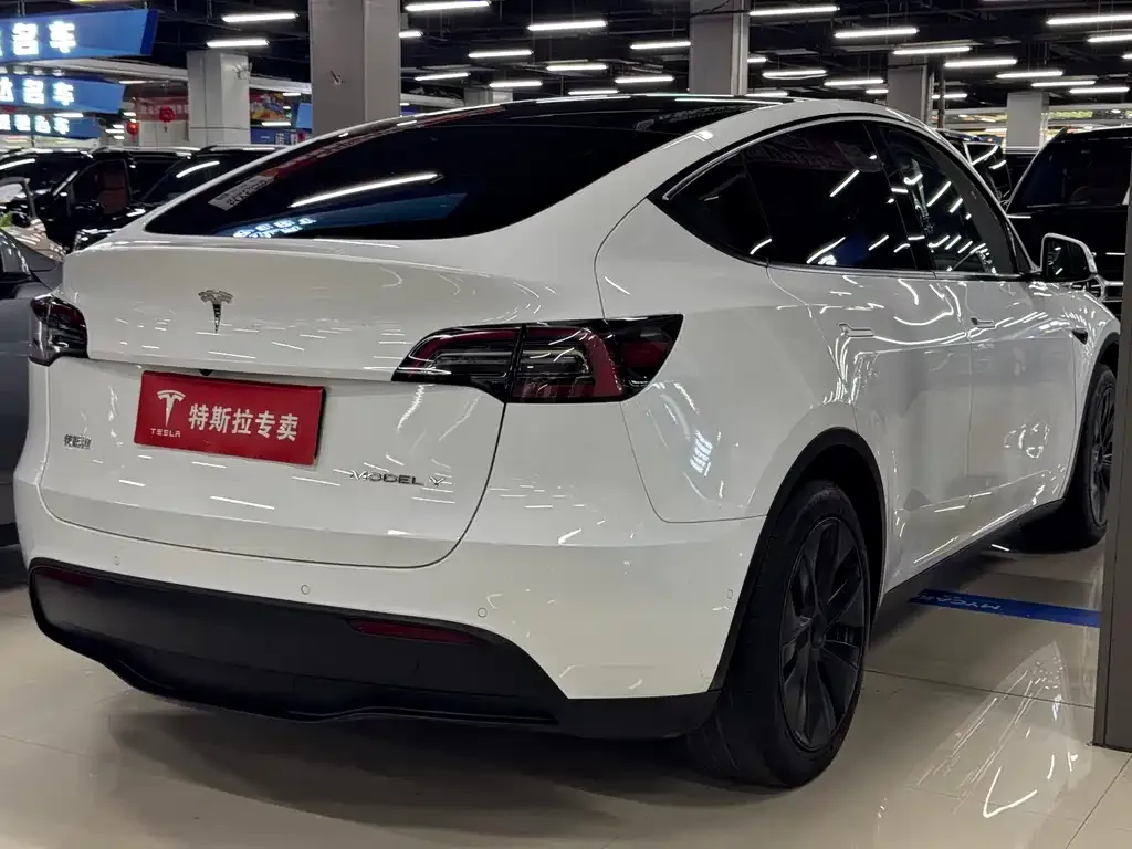 Tesla Model Y — фото 2