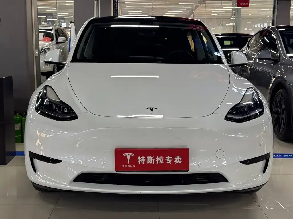 Tesla Model Y — фото 9
