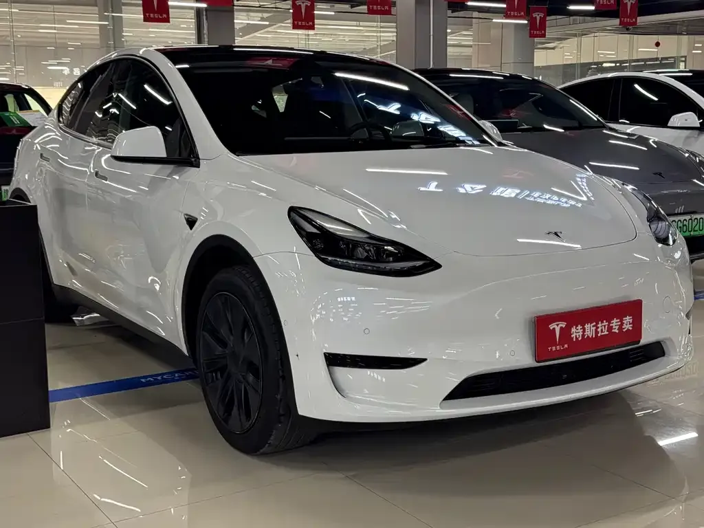 Tesla Model Y — фото 6