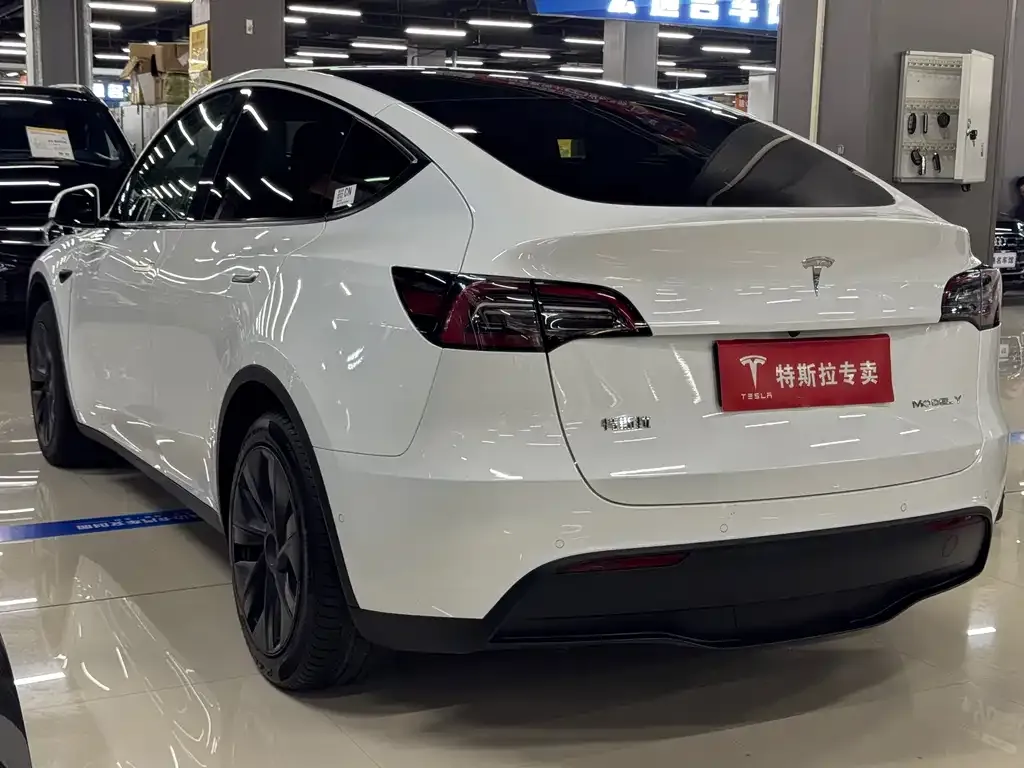 Tesla Model Y — фото 10