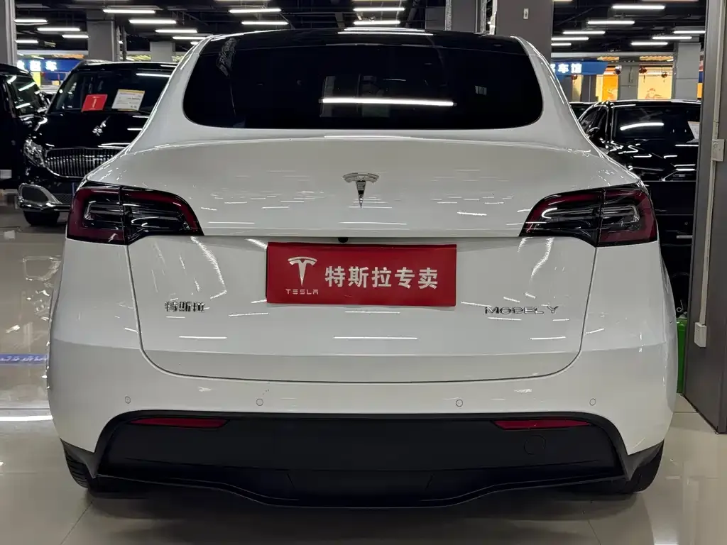 Tesla Model Y — фото 8