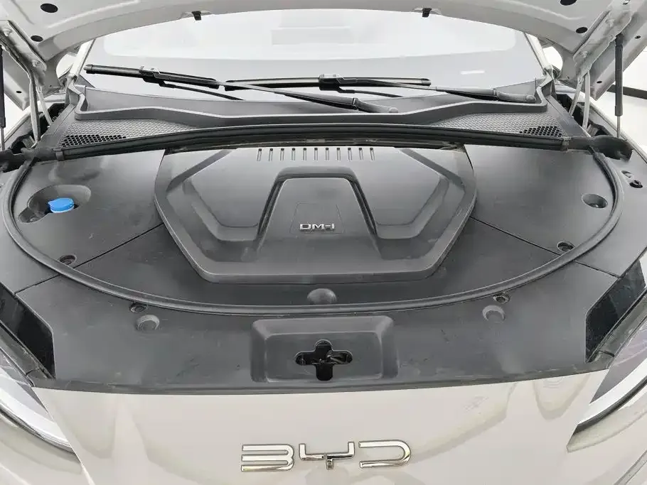 BYD PLUS New Energy — фото 9