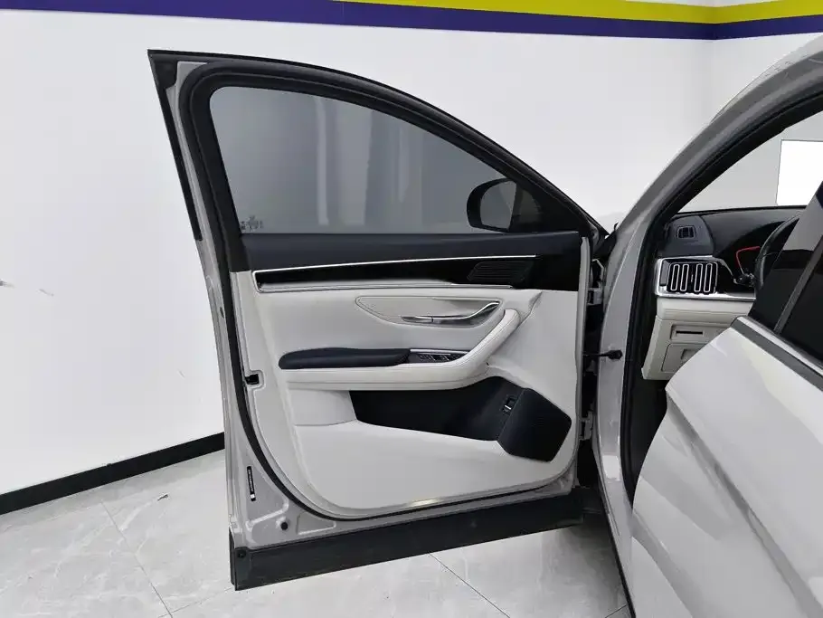 BYD PLUS New Energy — фото 3