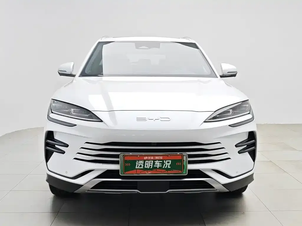 BYD PLUS New Energy 2024 из CN, фото 4