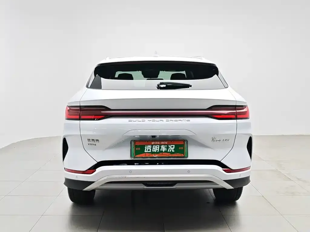 BYD PLUS New Energy 2024 из CN, фото 6