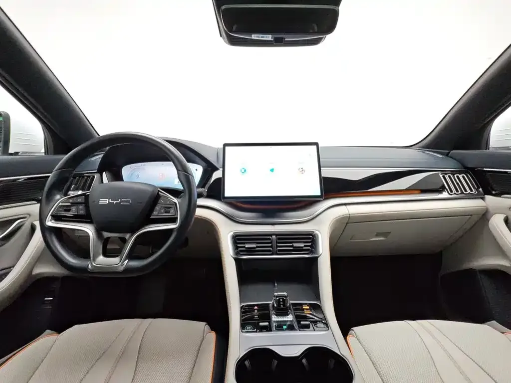 BYD PLUS New Energy 2024 из CN, фото 9
