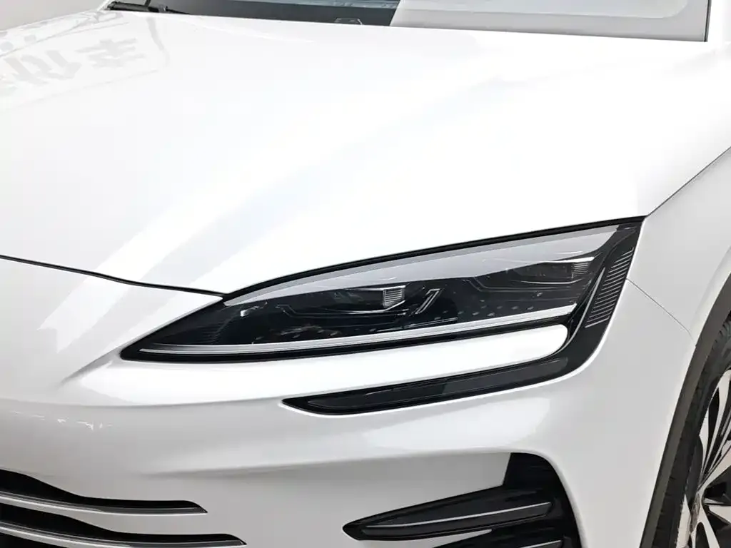 BYD PLUS New Energy 2024 из CN, фото 3