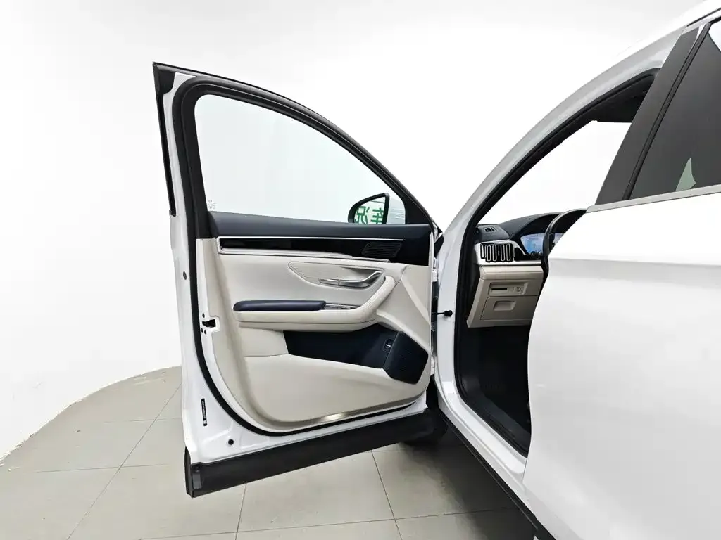 BYD PLUS New Energy 2024 из CN, фото 7