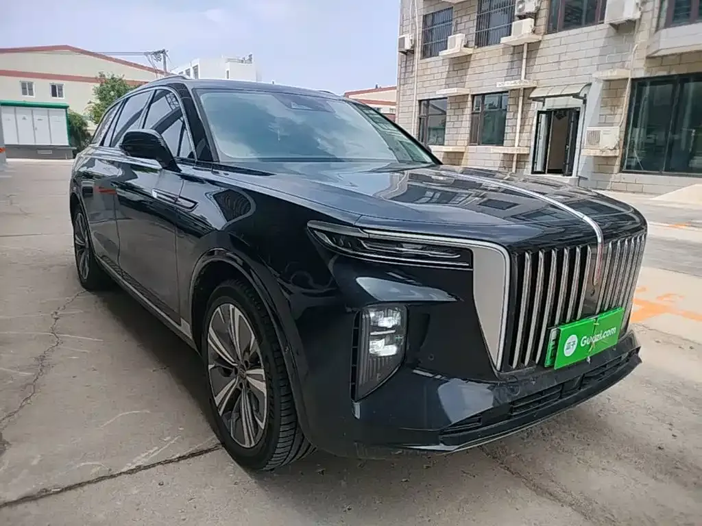 Hongqi E-HS9 — фото 10