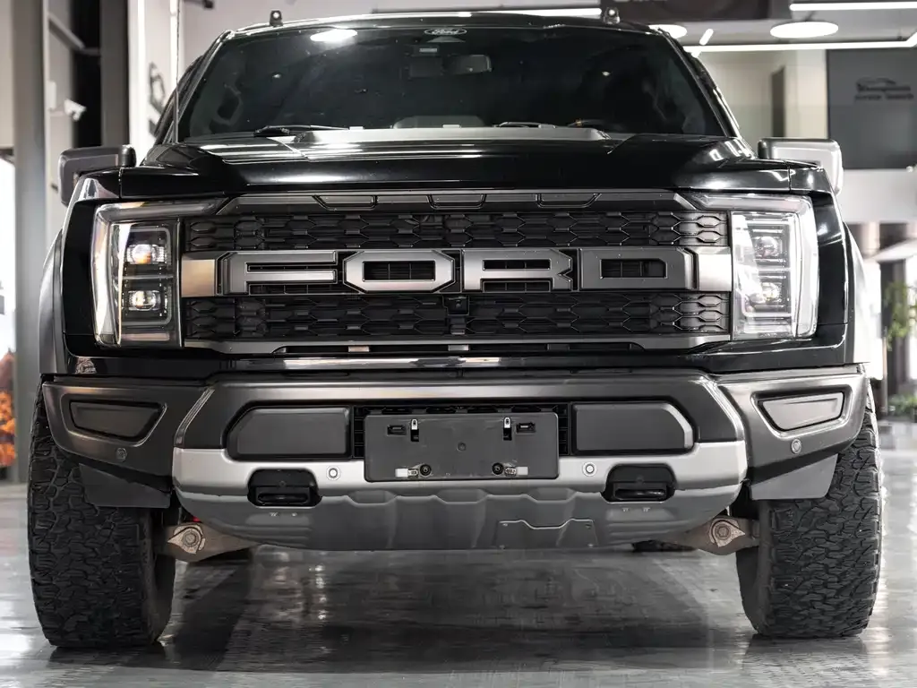 Ford F-150 Raptor — фото 1