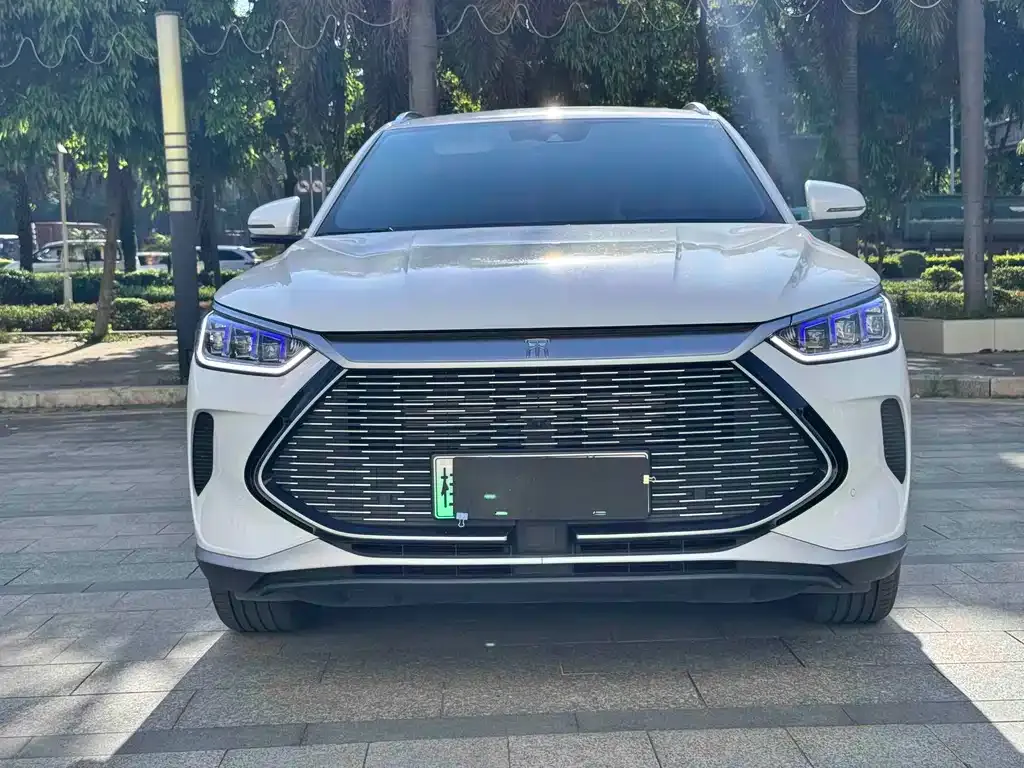 BYD PLUS New Energy — фото 3