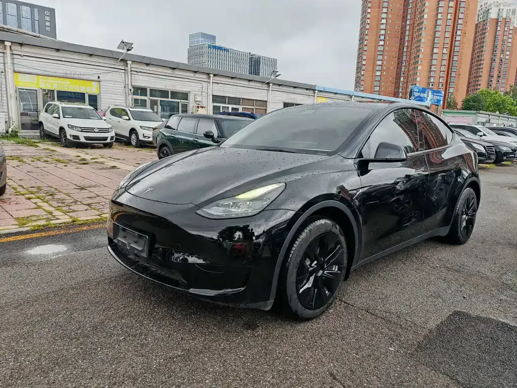 Tesla Model Y — фото 1