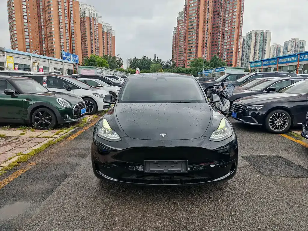 Tesla Model Y — фото 6