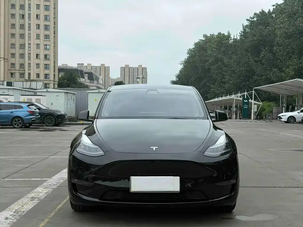 Tesla Model Y — фото 5