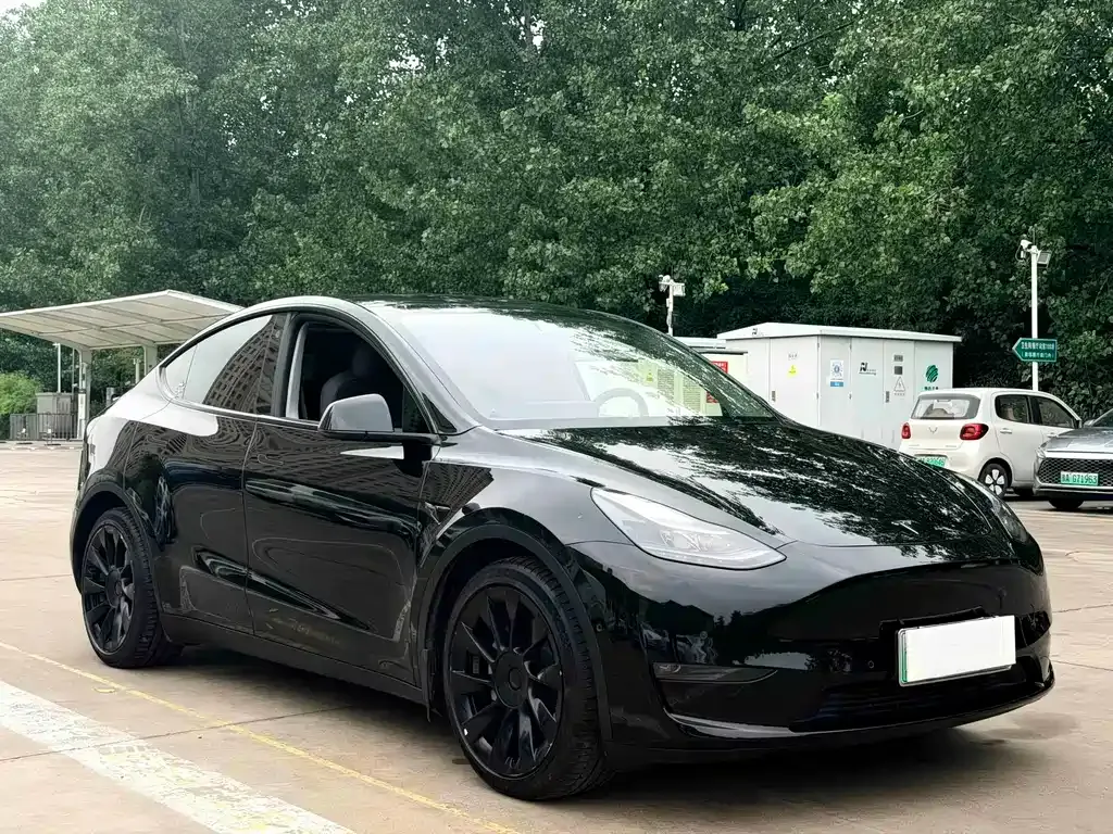 Tesla Model Y — фото 8