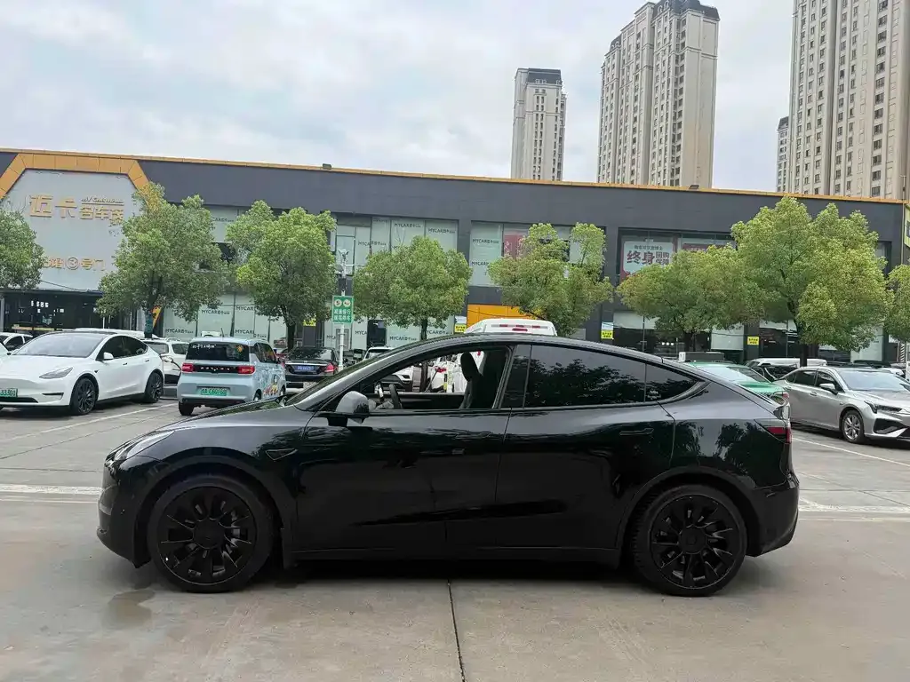 Tesla Model Y — фото 6