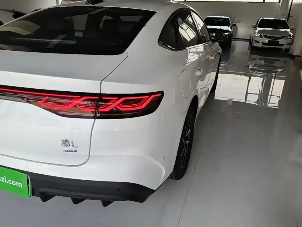 BYD Qin L — фото 8